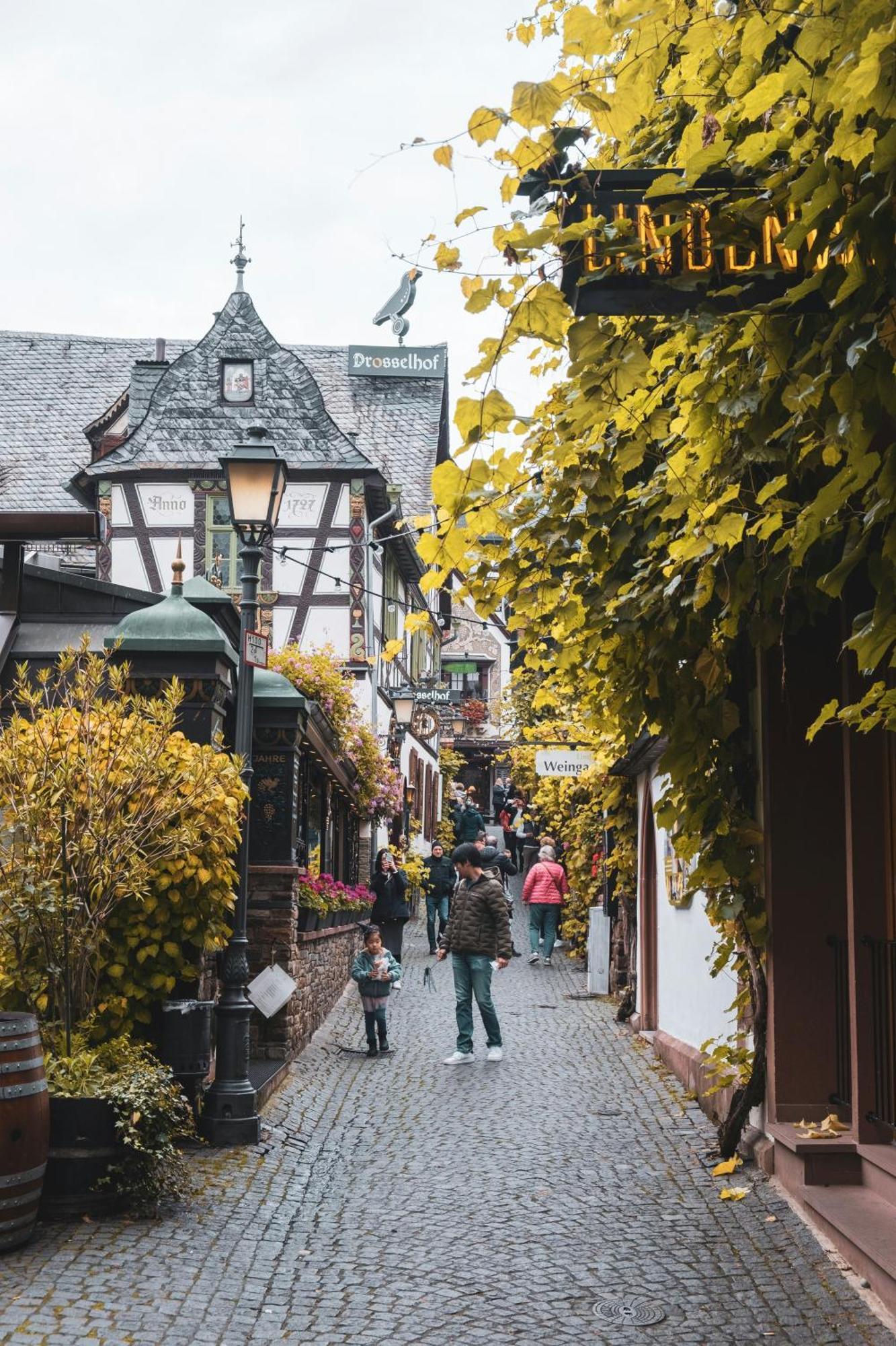 Hotel Zur Loreley - Garni Sankt Goar Exterior foto